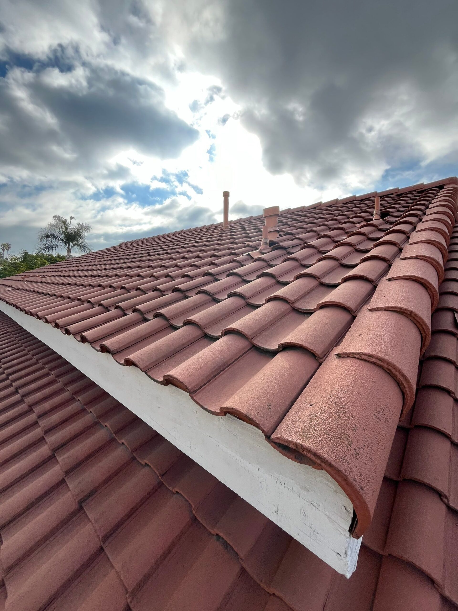 Spanish clay tile roof with fascia and palm trees in the San Gabriel foothills